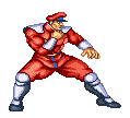 M. BISON