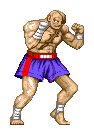 SAGAT