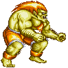BLANKA