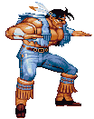 T. HAWK