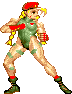 CAMMY